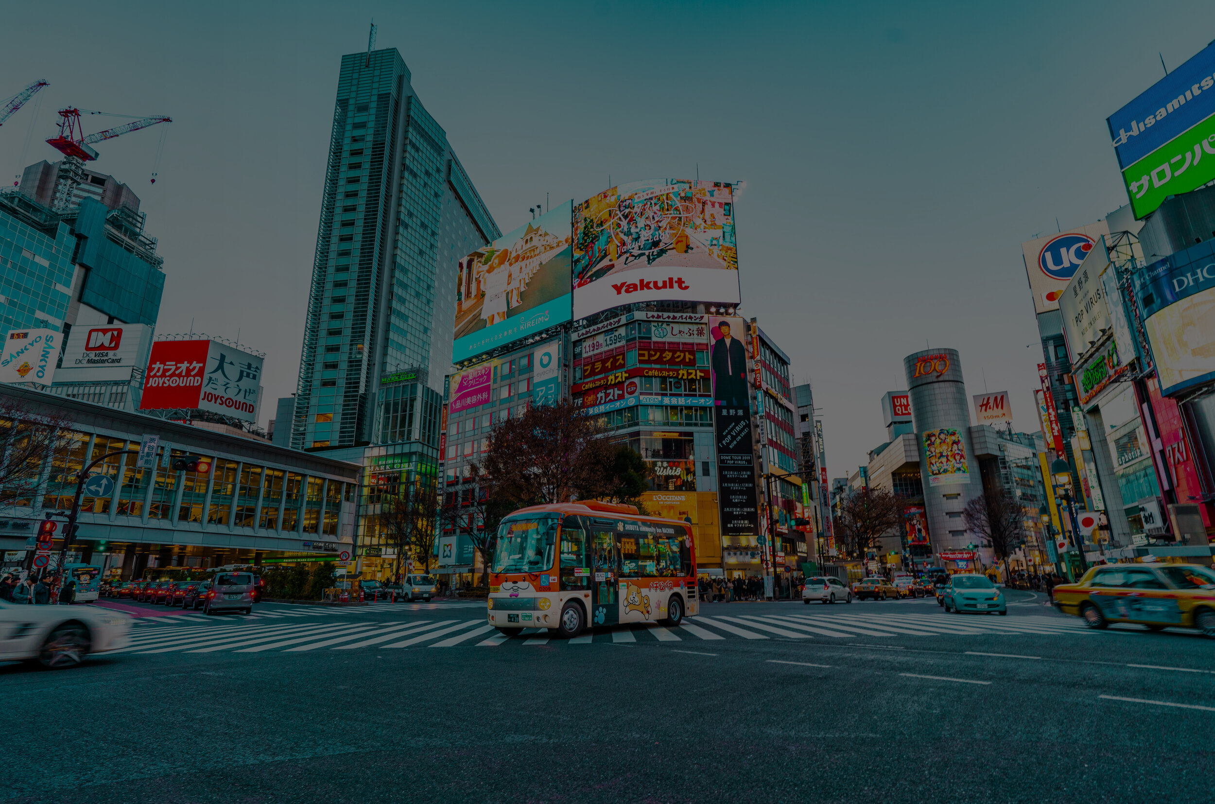 jezael-melgoza-NiyRORf8d8I-unsplash 2 copy.jpg